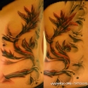 graff_tattoo_krakw_20120303_1060462646