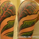 maciej_gulak_breakin_ink_tyczyn_20120206_1343776238