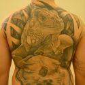 novick_juniorink_warszawa_20120306_2087674630