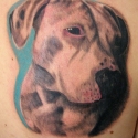 tattoo_by_zwierzak_20110609_1642867754