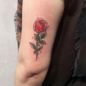 IMG_20211031_225041