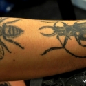 international_budapest_tattoo_convention_2012_tatuaze_40_20120405_1633024761