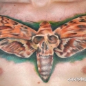 norbert_halasz_skinworkshop_tattoo_wgry_20110315_1257862328