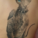 anbi_iii_miejsce_tatua_duy_czarno_szary_20090809_1224751360