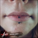 009-V-LABRET