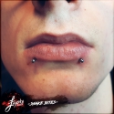 013-SNAKE-BITES