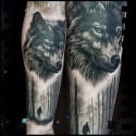 wilk