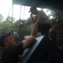 in_other_climes_piaseczno_2009_20090719_1318030911