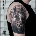 kon