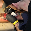 tattoofestival_d_2011_20110223_1346014196