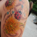 transilvania_tattoo_expo_2009_20090617_1304481158