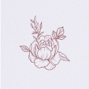 image36
