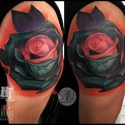 rozakolor